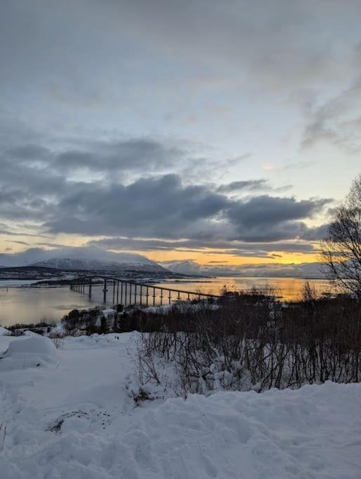 Koselig Leilighet Naer Bussholdeplass Og Natur. Tromsø Exterior foto